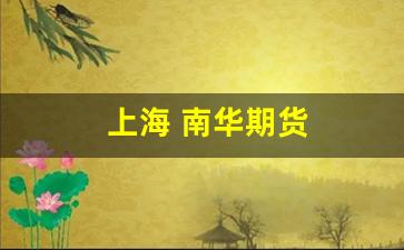 上海 南华期货(上海南华期货公司)_https://www.xzdzchf.com_创业板_第1张